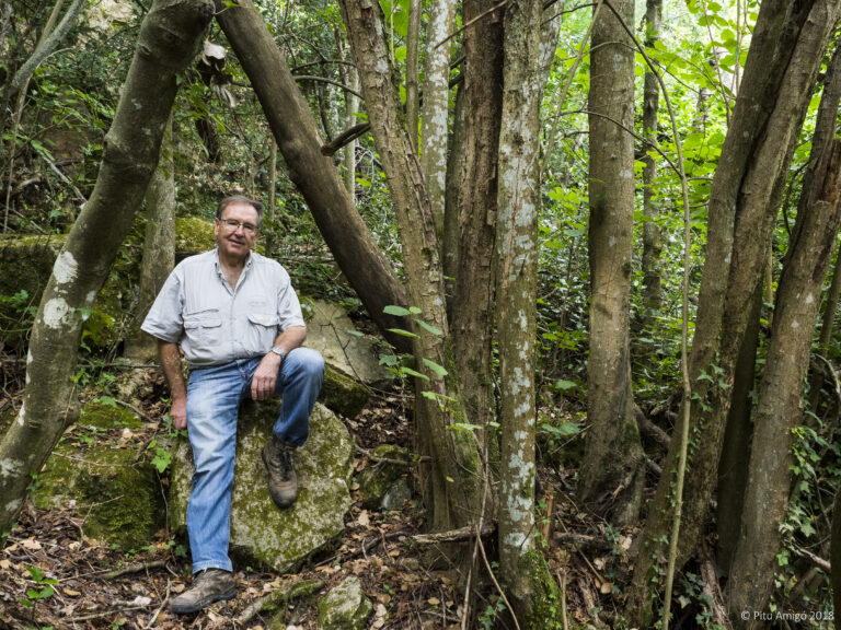 L'avellaner de l'aigüeta (Corylus avellana). PNIN Poblet, L'Espluga de Francolí. Arbres Singulars amb Antoni Carreras i Casanovas