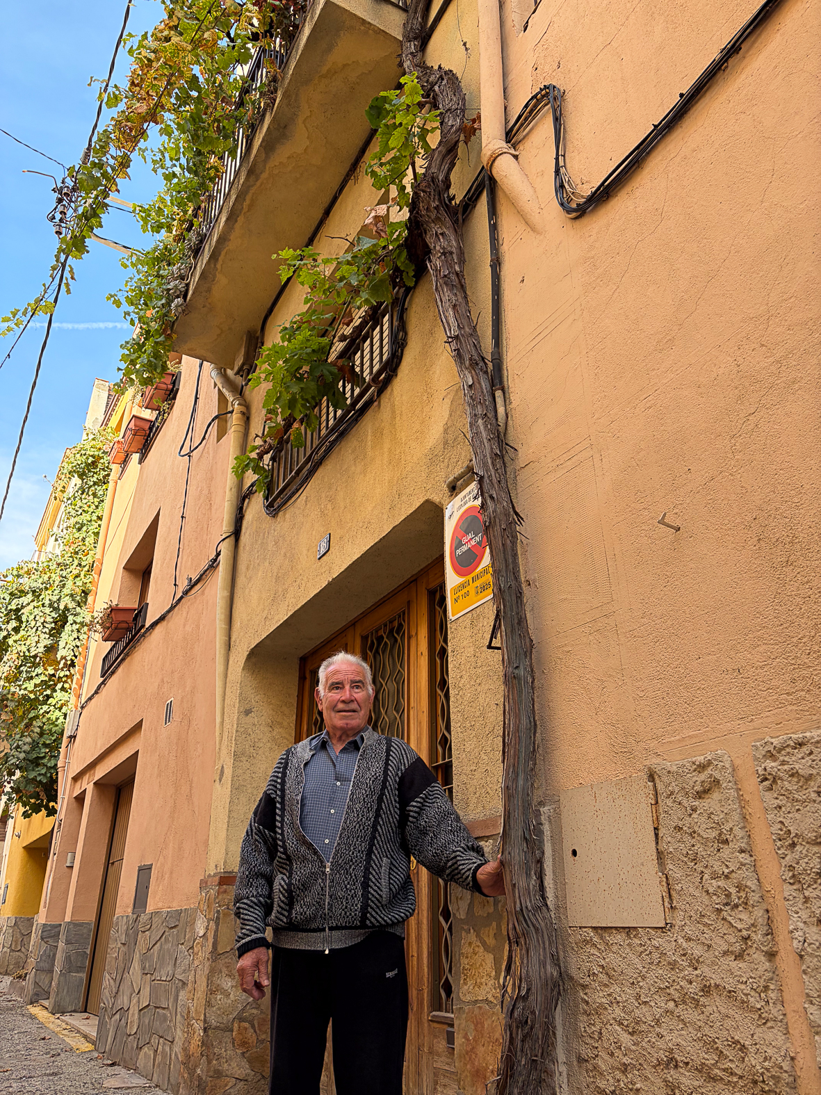 Carrer de les parres 18, l'Espluga de Francolí. Arbres Singulars amb Jordi Montserrat de cal Lep.
